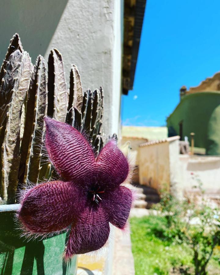 El Convento De Tilcara Bed & Breakfast Exterior foto